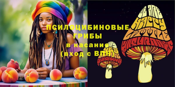 эйфоретик Абаза