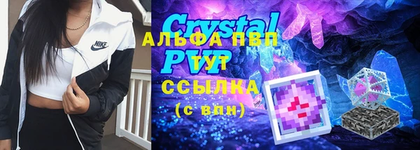 сатива Абинск