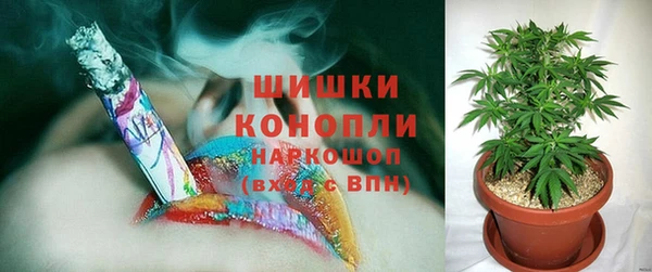 сатива Абинск