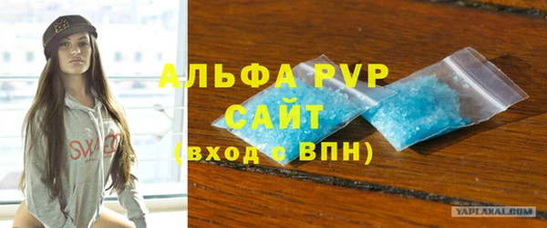 сатива Абинск