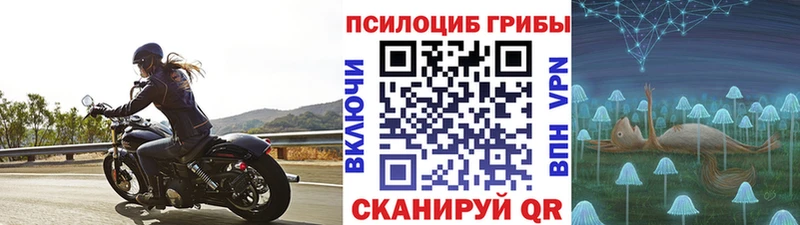 где купить наркоту  Красково  OMG как войти  Галлюциногенные грибы прущие грибы 