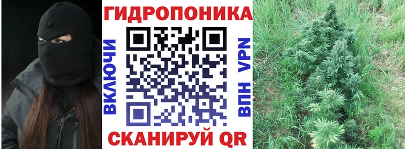 Конопля Bruce Banner  мега как войти  Красково  где можно купить  